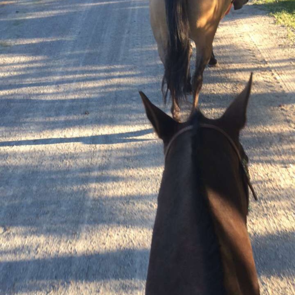 Meet your Posher, Markel